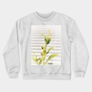 Bright young lemon tree with white blinders background. Vegan lifestyle Crewneck Sweatshirt